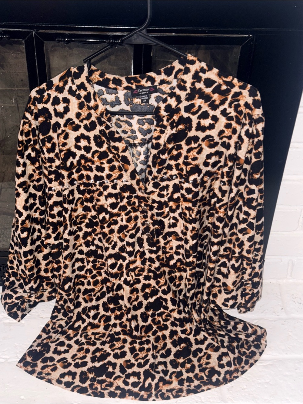 Daniel Cremieux Leopard-Print V-Neck Blouse in Black & Tan